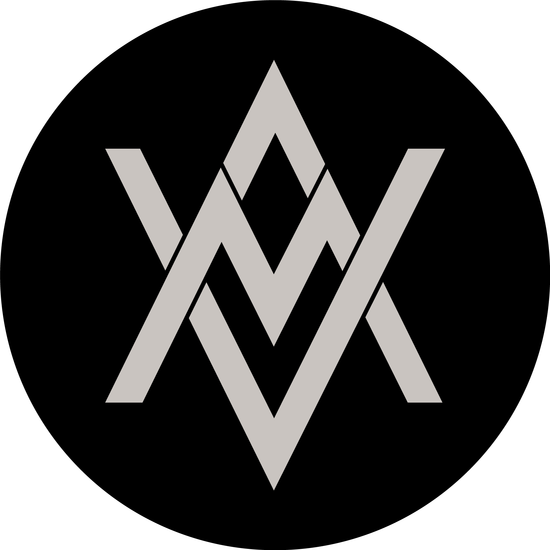 Logo VMA — Vifran Meza
